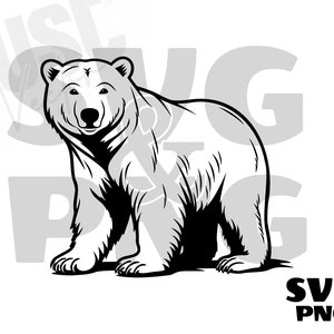 Niedźwiedź polarny SVG, sylwetka niedźwiedzia polarnego, niedźwiedź polarny PNG, wektor niedźwiedzia polarnego, clipart niedźwiedzia polarnego, plik svg Cut Digital Instant Download