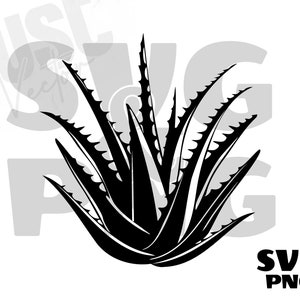 May include: Black and white silhouette of an aloe vera plant with spiky leaves.