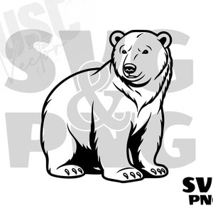 Niedźwiedź polarny SVG, sylwetka niedźwiedzia polarnego, niedźwiedź polarny PNG, wektor niedźwiedzia polarnego, clipart niedźwiedzia polarnego, plik svg Cut Digital Instant Download
