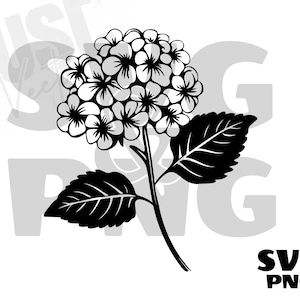 May include: Black and white silhouette of a hydrangea flower with leaves. The flower is in bloom and has a cluster of small, round petals.