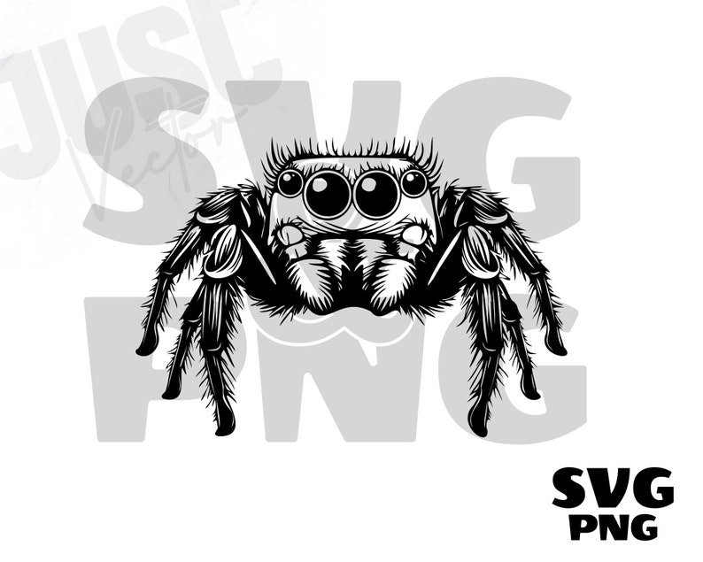 May include: Black and white illustration of a jumping spider with large eyes and detailed legs. The image includes the text "SVG PNG" in the bottom right corner and the words "JUST VECTORS" in the background.
