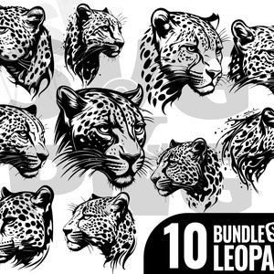 Leopard svg, Leopard Face SVG, woeste luipaard svg, Leopard hoofd svg, Leopard png, Leopard clipart, bestanden knippen, Cricut, silhouet