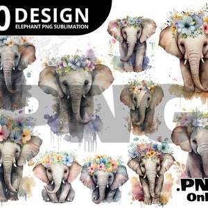 10 design watercolor of elephant With Flowers, elephant PNG, Watercolor elephant PNG, png Sublimation, Transparent Background