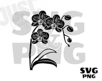 蘭の花 SVG、蘭の SVG、花の SVG、蘭の花のクリップアート、蘭のシルエット、蘭の花のファイル Cricut、インスタントデジタルダウンロード