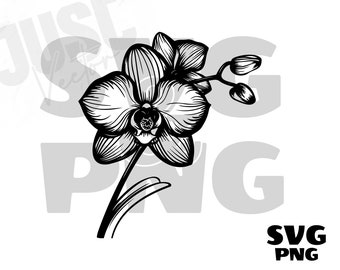 蘭の花 SVG、蘭の SVG、花の SVG、蘭の花のクリップアート、蘭のシルエット、蘭の花のファイル Cricut、インスタントデジタルダウンロード