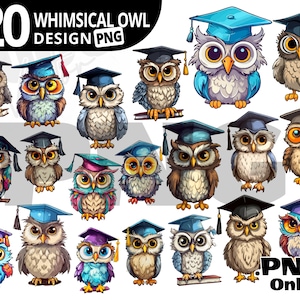 Owl with Graduation Hats, Cartoon Owl Maestro PNG, Graduation Owl Clipart, Graduation Sublimation, Graduation Cap Grad, PNG Sublimation