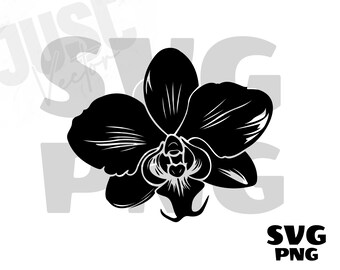 蘭の花 SVG、蘭の SVG、花の SVG、蘭の花のクリップアート、蘭のシルエット、蘭の花のファイル Cricut、インスタントデジタルダウンロード