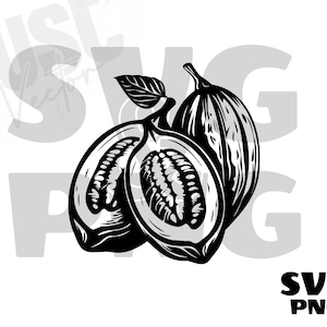 Könnte beinhalten: Schwarz-weiß-Illustration einer Kakaobohne mit einem Blatt und zwei Kakaobohnen. Die Kakaobohne ist aufgespalten, um die Bohnen im Inneren zu zeigen.