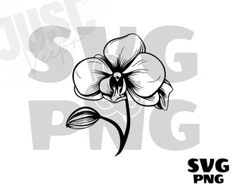 蘭の花 SVG、蘭の SVG、花の SVG、蘭の花のクリップアート、蘭のシルエット、蘭の花のファイル Cricut、インスタントデジタルダウンロード