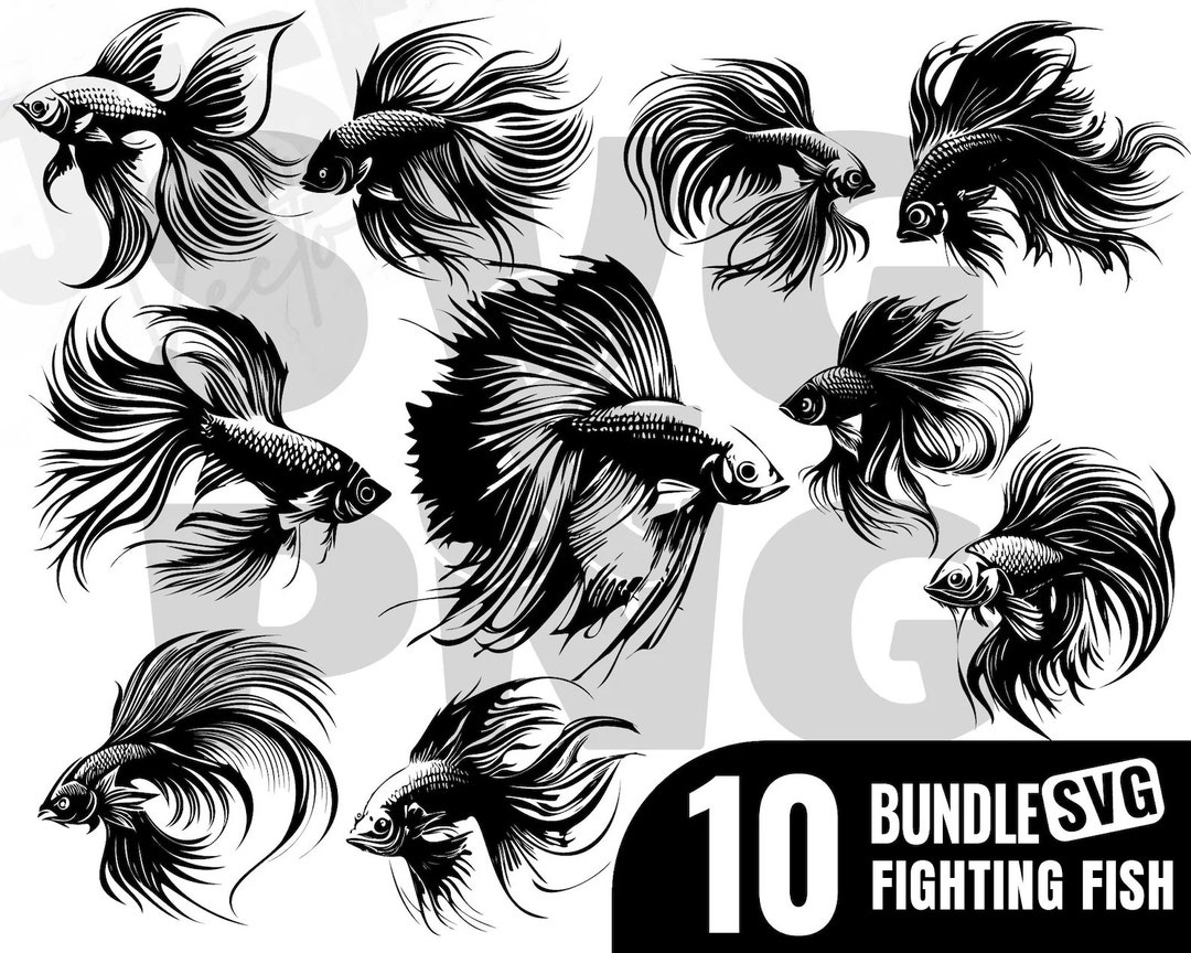 Betta Fish Svg, Siamese Fighting Fish Svg, Betta Fish Png, Aquarium