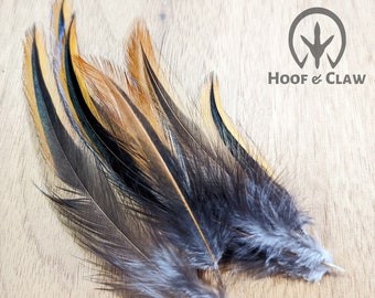Colorful rooster saddle hackle feathers 40+ feathers, assorted sizes between 3-6 in long, sourced from free range roosters on our homestead