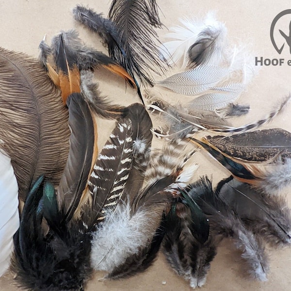 200+ Variety Feathers for Crafting Ostrich Turkey Chicken Duck Quail free range ethically sourced humanely raised birds from our homestead
