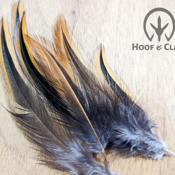 Colorful rooster saddle hackle feathers 40+ feathers, assorted sizes between 3-6 in long, sourced from free range roosters on our homestead