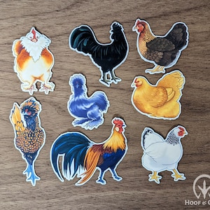 Chicken stickers, chicken stationary, farm homestead stickers, planner stickers, set of 8
