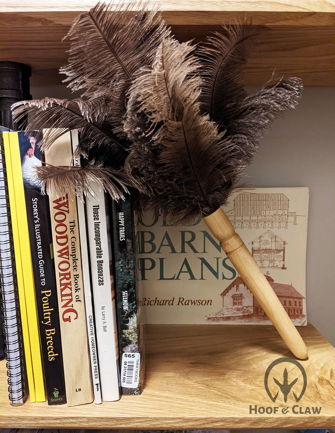 Ostrich Feather Duster, Ethically Sourced Feathers From Live Ostriches