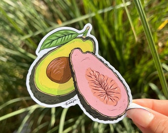 Sticker Avocado - Adult Stickers - Funny Stickers - Stickers