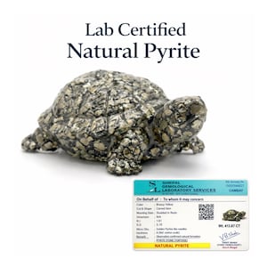 Tortuga de pirita natural certificada por laboratorio / Figura de tortuga de orgonita y pirita / Cristal de riqueza y prosperidad Feng Shui / Decoración de tortuga para el dinero Vastu