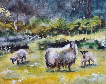 Sheep Watercolor Art Print, Lamb, Spring Meadow