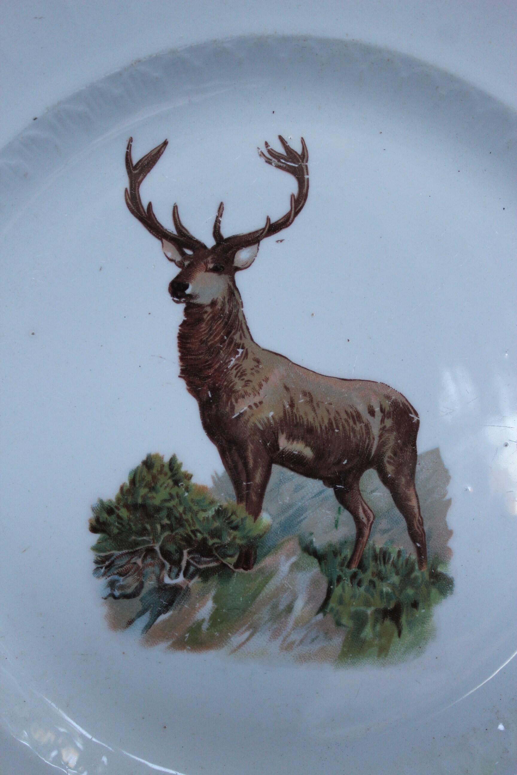 Deer dishes cheap set