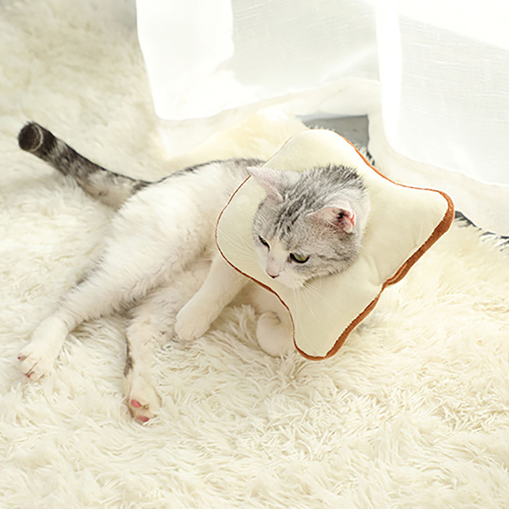 Elizabeth Toast Kragen Teddy Hund Garfield Katze Kragen Etsy