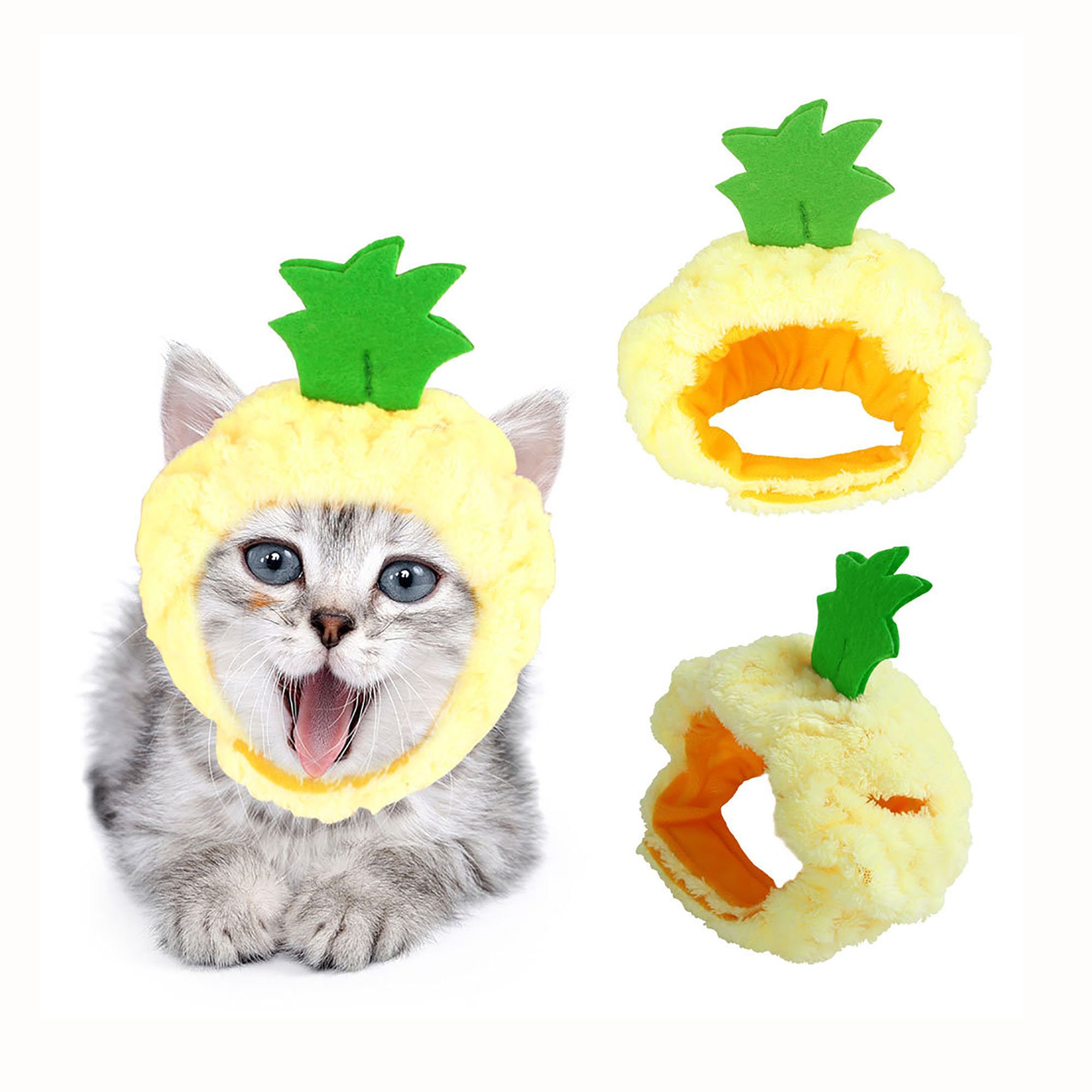 pineapple cat hat