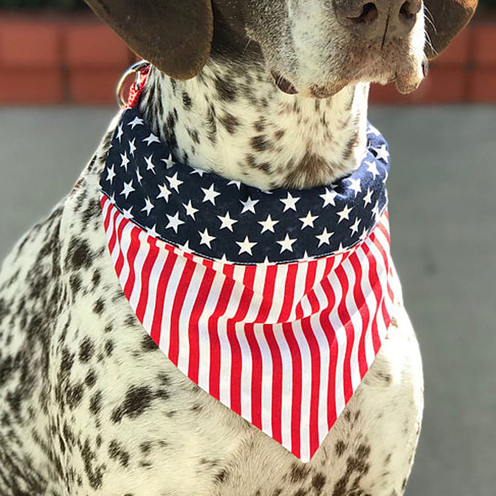 American flag pet triangle scarf dog saliva pet scarf pet Etsy