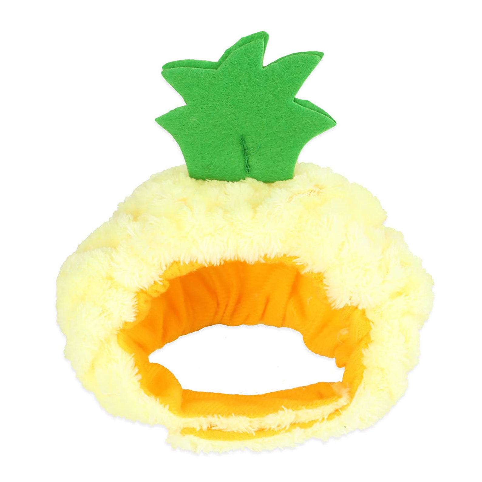 pineapple cat hat