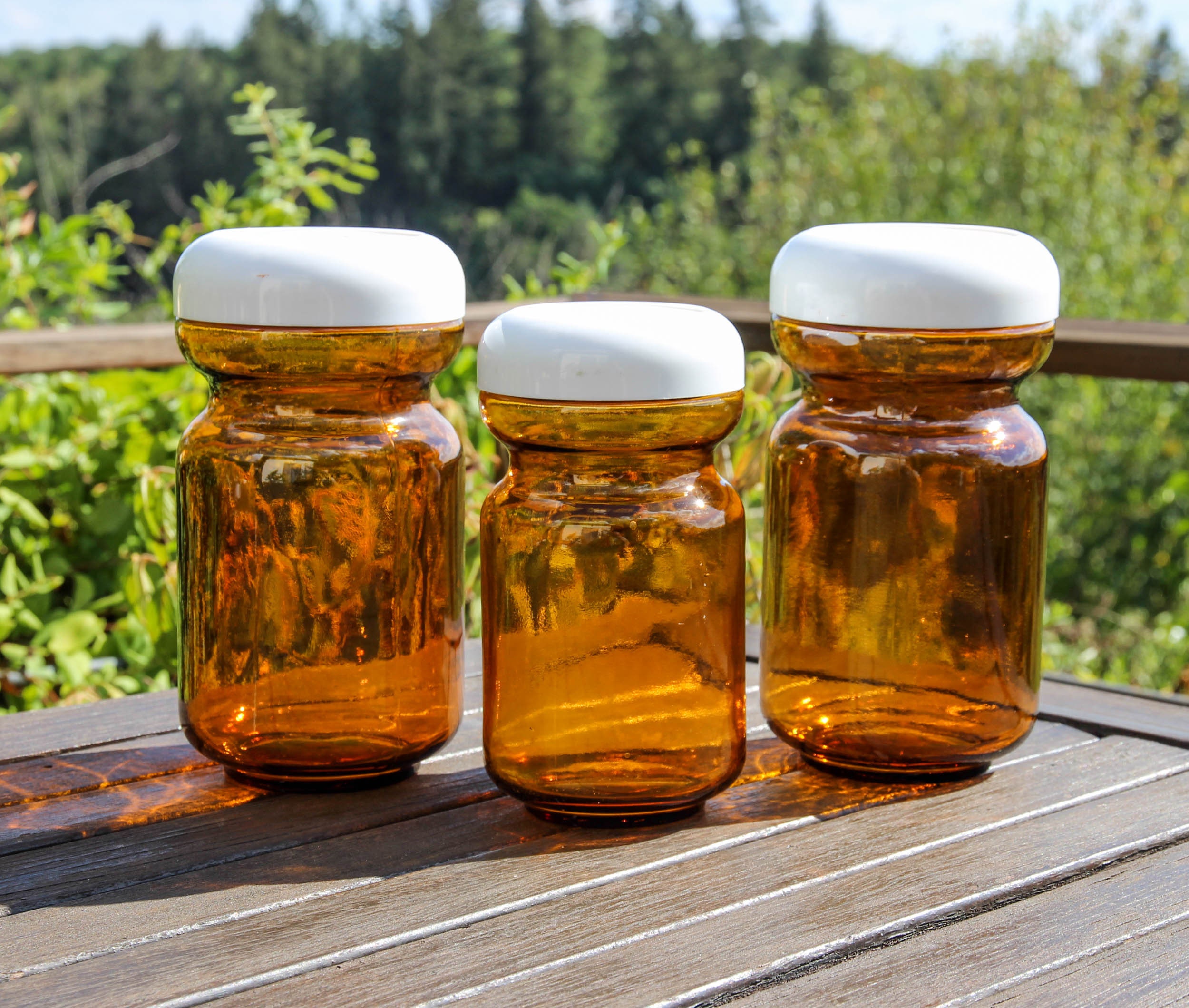 Pair of large glass jars with lids - 1950's – Chez Pluie