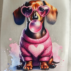 Könnte beinhalten: Ein Dackel mit rosa herzförmigen Sonnenbrillen und einem rosa Pullover mit einem weißen Herz auf der Vorderseite, der eine rosa Blase bläst. Der Hund sitzt auf einem Aquarellhintergrund.