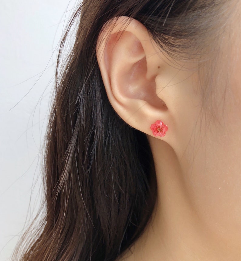 Nature earrings Real Flower Earrings Gift for Mother/'s Day Forget-me-not Flower Earrings With 925 Sterling Silver