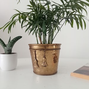 Peut inclure: Un pot de fleur de couleur laiton avec un motif de corde et des glands, contenant une plante verte à feuilles. Un petit pot blanc avec une plante succulente est à gauche. Un livre avec une couverture beige est à droite.