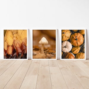 Herbst Drucke 3er Set Herbst Galerie Wand Kunst Kürbis druckbare Herbst Blätter Wald Fotografie Sofort Download