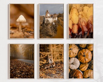 Fall Gallery Wall Art Autumn Set of 6 Prints Pumpkins Wall Art Rustic Gallery Farmhouse Vintage Fall Photography Fox Instant Download