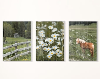 Mountain Forest Set of 3 Prints - Green Poster - Nature Wall Art - Wildflowers Print - Pine Trees Print - Landscape Green -Digital Download