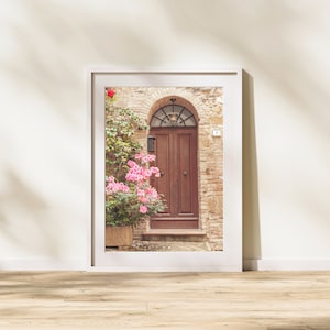 Puerta de madera italiana - Puerta vintage - Impresión de suculentas - Fotografía de puerta - Arte de pared imprimible de Toscana - Impresión de puerta mediterránea