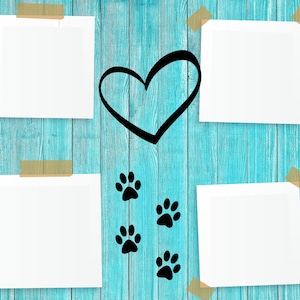 May include: A turquoise wooden background with four white square frames taped on with tan tape. A black heart and four black paw prints are also on the background. The image is a pet-themed design.