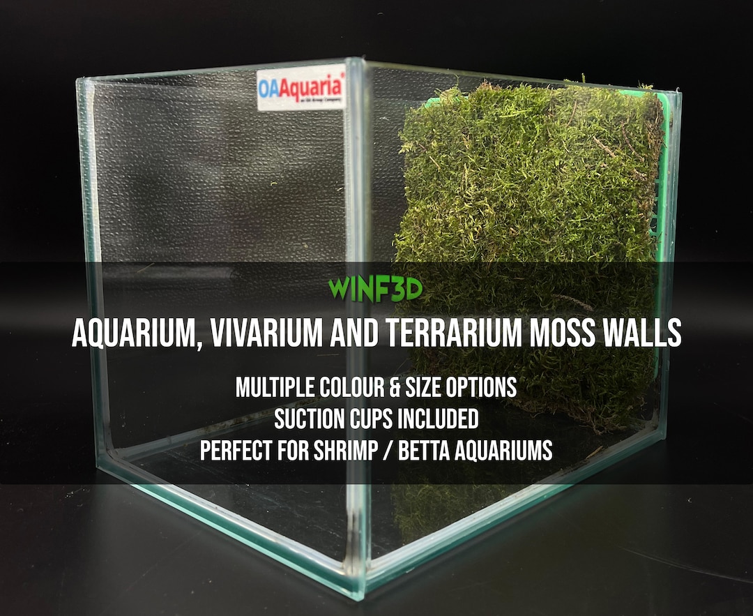 Freshwater Aquarium Moss Wall Multiple Sizes Colours Perfect for Betta