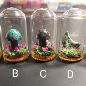 Mini crystal terrariums
