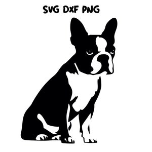 Boston Terrier svg,Boston Terrier svg files for cricut,Boston Terrier Shirt,Boston Terrier dxf,Boston Terrier Cricut,Dog Svg files,Dog svg