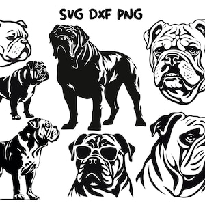Engelse Bulldog svg, hond svg-bestanden voor Cricut, vector, hond gezicht hoofd boog girly clipart, ras dxf, afdrukbare kunst png, download gesneden bestand