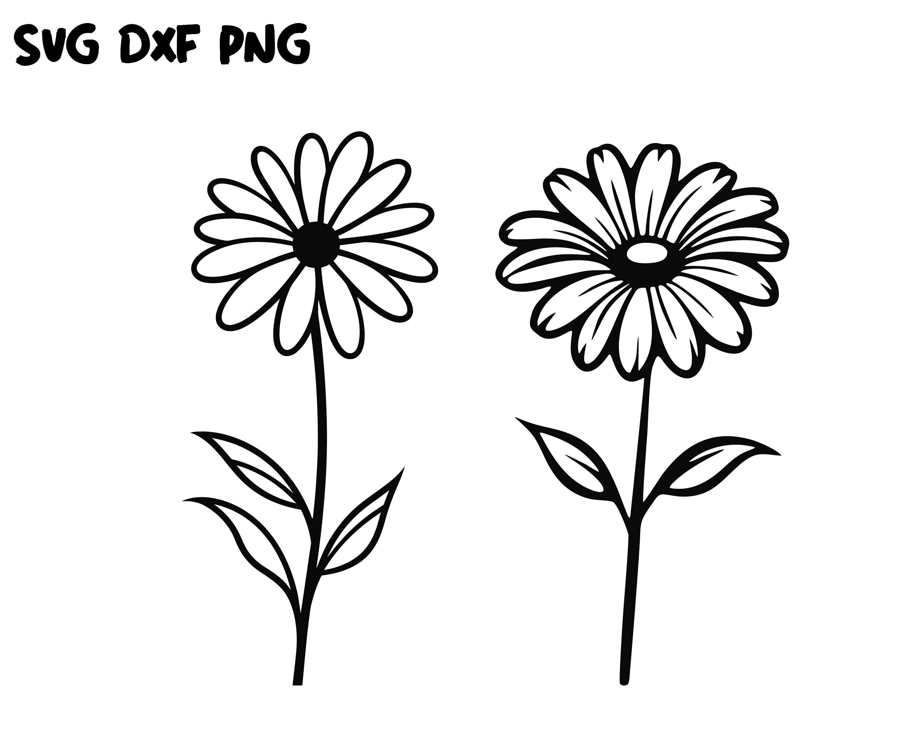Daisy Svg, Flower Svg, Daisy Svg Flower, Floral Svg, Daisy Bundle Svg, Daisy Silhouette, Paper Cut Template, Svg File For Cricut, Svg file