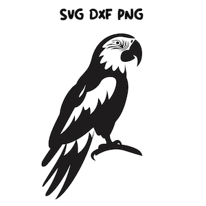 Adorable Parrot svg, Bird Portrait svg, Pet svg, Macaw svg - Silhouette, Cricut, CNC, Laser, Vinyl Cutter, Decal Sticker, T-Shirt File