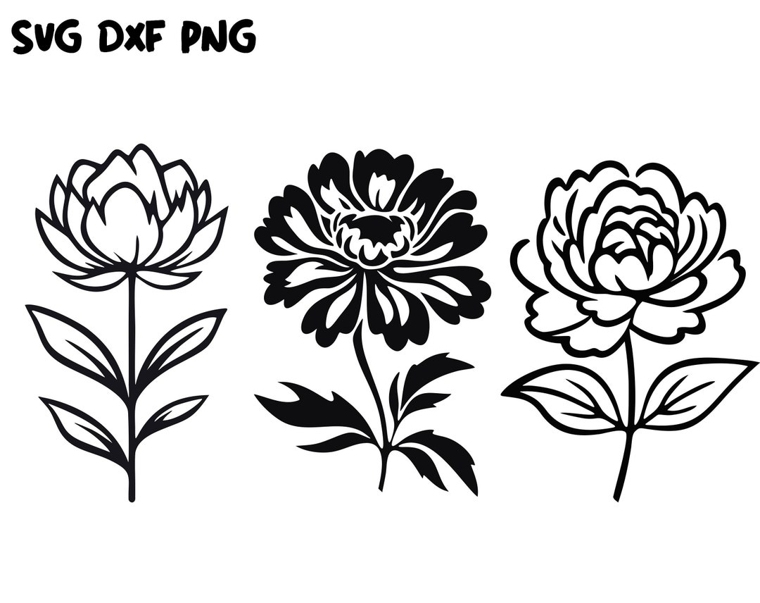 Peony Svg, Peony Svg, Peony Cricut Svg, Peony Svg Cut Files Peony