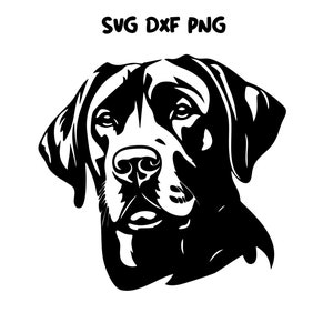 Labrador Retriever svg clipart portrait dog vector art, LAB cut file cuttable cute dog lovers gift printable labrador cricut digital design