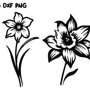 Narcissus template svg, narcissus dxf, flower svg, Vinyl Cutting, Vector Cricut Cut, Narcissus Stencil Paper Cut, Narcissus silhouette svg