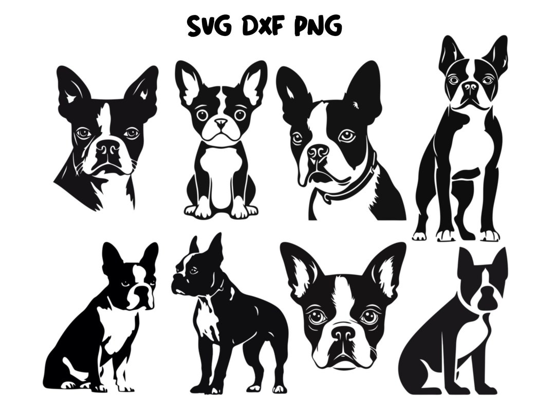 Boston Terrier Svg, Bulldog Svg, Dog Mom Svg, Puppy Svg, Dog Silhouette