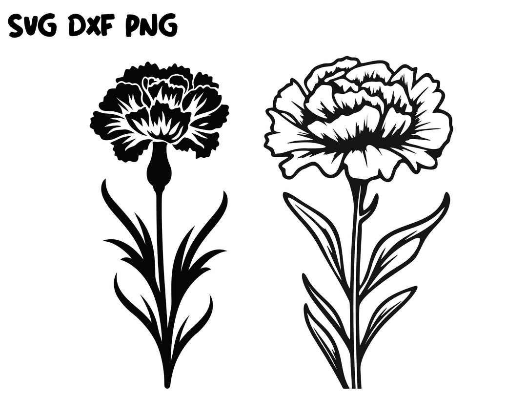 Carnation Flower SVG, Carnation SVG, Flower Svg, Flower Dxf, Flower Png