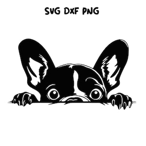 French Bulldog Svg, Frenchie svg, funny dog clipart, pet face png, Bulldog breed Svg, Frenchie Clipart Print, Cricut Cutting Files ,Dog svg