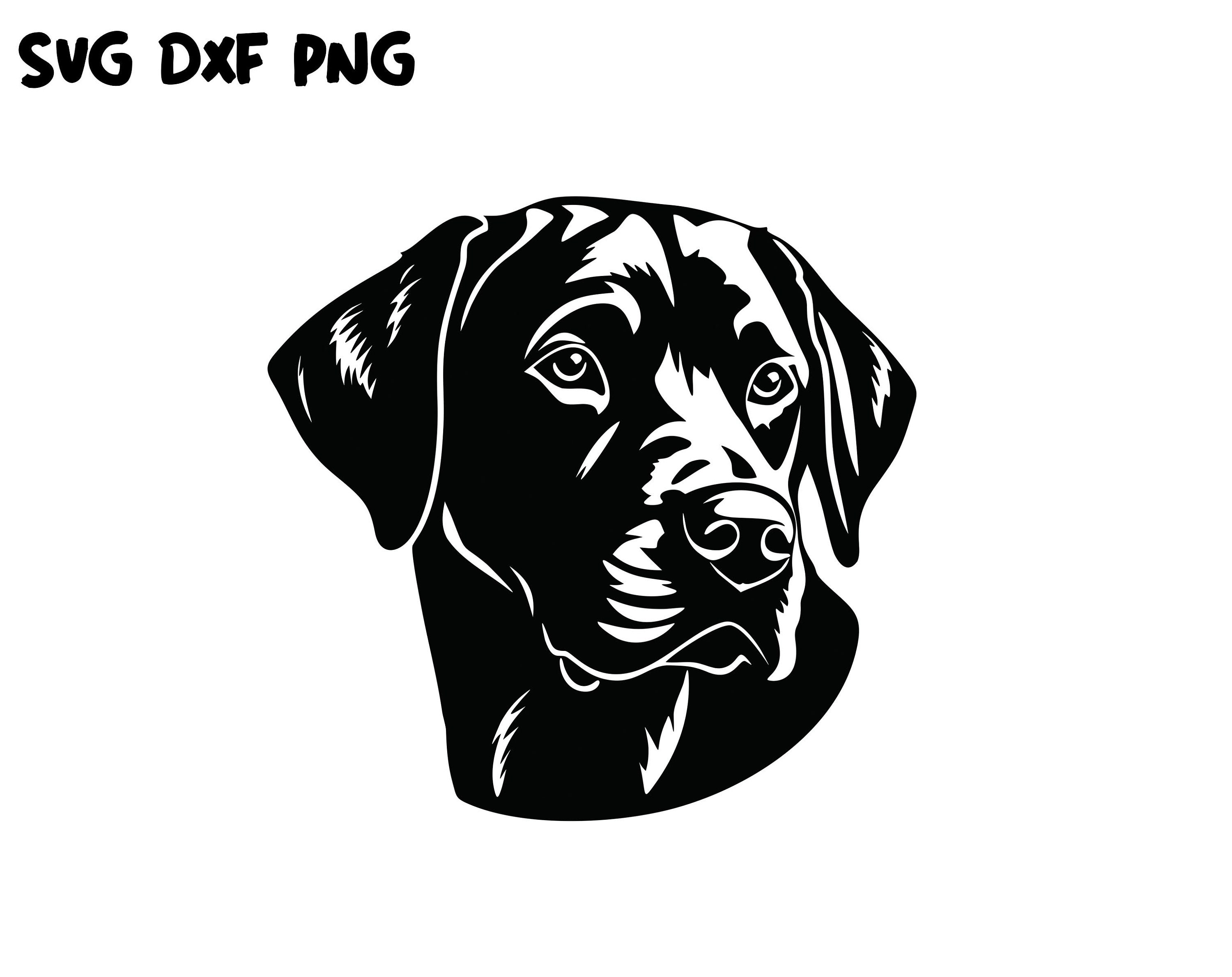 Labrador Retriever SVG Bundle Cut Files, Dog Breed Design, Cricut SVG ...