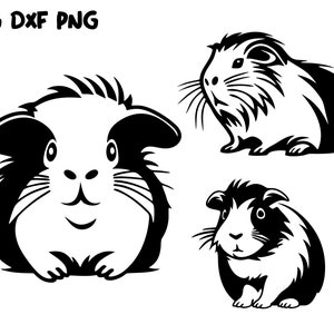Fichiers Svg de cochon d’Inde pour Cricut, clipart animal mignon, téléchargement de graphiques vectoriels animaux domestiques, png imprimable, art de conception vétérinaire drôle
